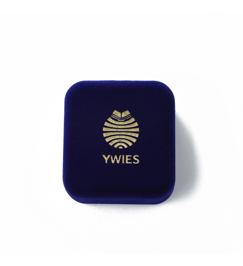 YWIES 校徽