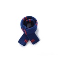YCIS Young Child's Wool Scarf